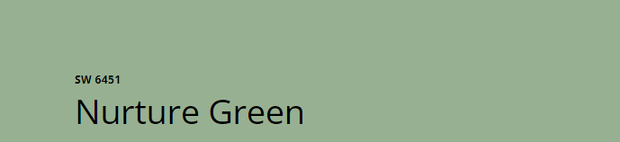 Sherwin Williams Nurture Green (SW 6451)
A soothing, soft green with a muted tone that evokes calm and serenity. It adds a natural, refreshing touch to any room while enhancing tranquility.