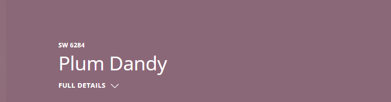 Sherwin Williams Plum Dandy (SW 6284)
A rich, warm mulberry that adds depth and richness, harmonizing with cooler teals for a sophisticated and engaging color palette.
